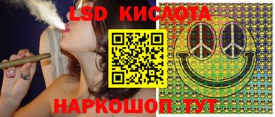 ГАЛЛЮЦИНОГЕННЫЕ ГРИБЫ Владимир